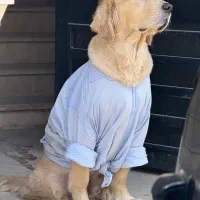 گمشده (مژدگانی دارد)