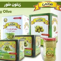 استخدام حسابدار پخش صالحی