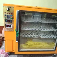 دستگاه جوجه کشی252تایی استیل|لوازم جانبی حیوانات|بوشهر, |دیوار