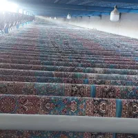 قالیشویی برتر خجسته (تخفیف ویژه)|خدمات نظافت|قم, قلعه صدری|دیوار