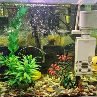 اکواریوم با تمام تجهیزات