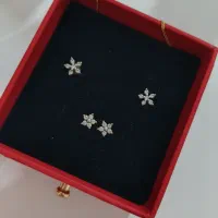 گوشواره نقره