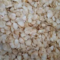 موسیر همش یکجا بفروش میرسد