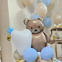 بوکت بادکنک دندونی و خرسی