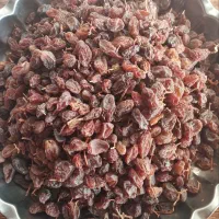 کشمش فرخی آفتابی درجه یک قیمت مناسب