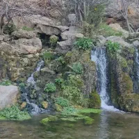 اجاره-باغ-گیلاس-والبالو