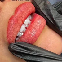 خدمات ارایش دائم هزینه مواد مصرفی ۷۰۰|خدمات آرایشگری و زیبایی|تهران, سعادتآباد|دیوار