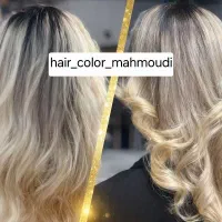 رنگمو در خانه