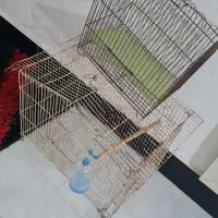 قفس پرنده