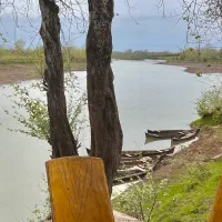 440 متری/چندقدمی سفیدرود/ویلا نشین/لشت نشا/لیچاه|فروش زمین و ملک کلنگی|رشت, منظریه|دیوار