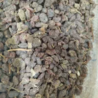 پخش عمده و جزیی کشمش آفتابی ، مویز ،|خوردنی و آشامیدنی|اهواز, منبع اب|دیوار