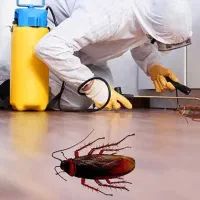 سمپاشی سوسک 100% تضمینی همراه ضمانت مهردار