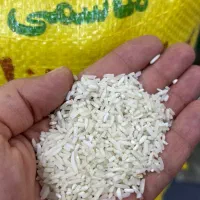 برنج سرلاشه هاشمی اصیل به شرط پخت