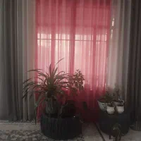 پرده پذیرایی|پرده، رانر، رومیزی|مشهد, کشف|دیوار