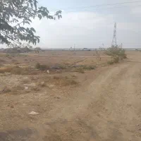 زمین ۵۰۰۰متری باگلخانه درتربت جام|فروش زمین و ملک کلنگی|تربت جام, باغ سنگان سفلی|دیوار