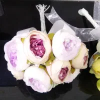 گل عروس
