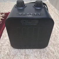 اسپیکر همراه با دو میکروفون