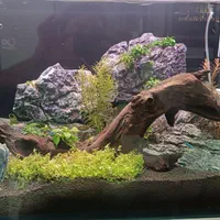 آکواریوم کامل فروش تکی نداریم فقط کلی