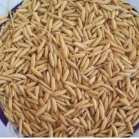 فروش چلتوک درجه یک