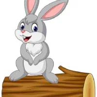 خرگوش پیدا شده