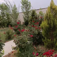 اجاره باغ ویلا،استخر آبگرم در خانه زنیان|اجارهٔ کوتاه‌مدت ویلا و باغ|شیراز, شهرک والفجر|دیوار