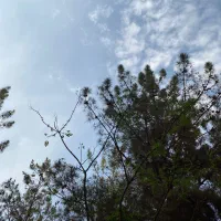 سیم کارت دائمی کد ۳
