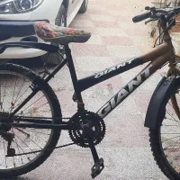 دوچرخه ۲۴ دنده ای|دوچرخه، اسکیت، اسکوتر|علیآباد کتول, |دیوار