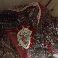 فرش دوازده متری درحد