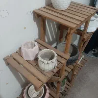 استند گلدان|گل و گیاه طبیعی|فردیس, نسترن شرقی|دیوار