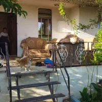 فروش باغ ویلا 1000 متری در تهراندشت|فروش خانه و ویلا|هشتگرد, تهران دشت|دیوار