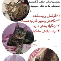 گمشده