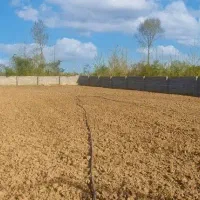 زمین1200متری-سند6دانگ-قطعی-بدون-توافق-انسجام-جامی