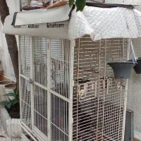 اجاره قفس بزرگ چرخدار.