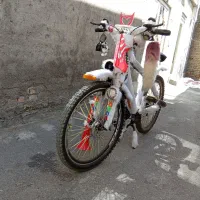 دوچرخه 26اسپرت