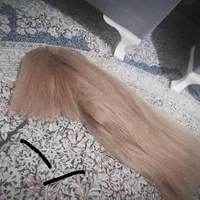 کلاه گیس 2 مدل پوستیژ مو بلند و خوشرنگ فقط 750|فعالیت داوطلبانه|کرج, حیدرآباد|دیوار