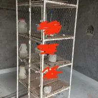 قفس پنج طبقه