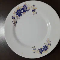 بشقاب ملامین