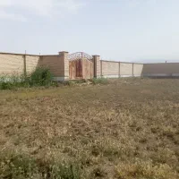 اجاره زمین صنعتی،کشاورزی،دیوارکشی ۶۵۰۰متر  محمدشهر|اجارهٔ دفتر صنعتی، کشاورزی، تجاری|محمدشهر, محمدشهر|دیوار