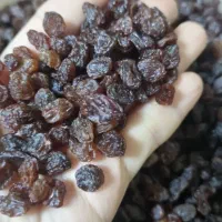 کشمش ارگانیک