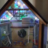 قفس بزرگ چوبی