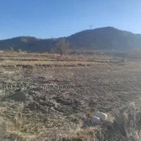 2200زمین معاوضه و نقد کشاورزی و برنجکاری