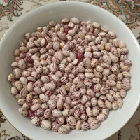 لوبیا چیتی