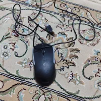 موس و دسته کامپیوتر