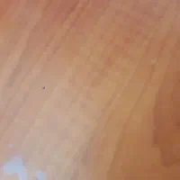 کارت بانکی گمشده