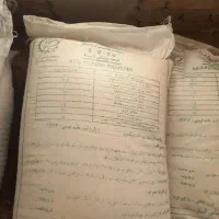 خریدار کود|خدمات باغبانی و درختکاری|دهگلان, |دیوار