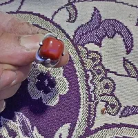 انگشتر نقره عقیق قرمز دست ساز مهر دار|کلکسیون اشیاء عتیقه|محمدشهر, محمدشهر|دیوار