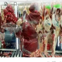 قصابی گوشت گوسفندی وگوساله
