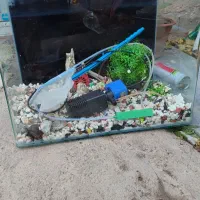 آکواریوم|ماهی|میاندوآب, |دیوار