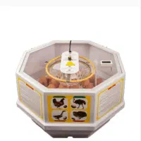 دستگاه جوجه کشی