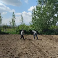 کارگرباغ،باغچه